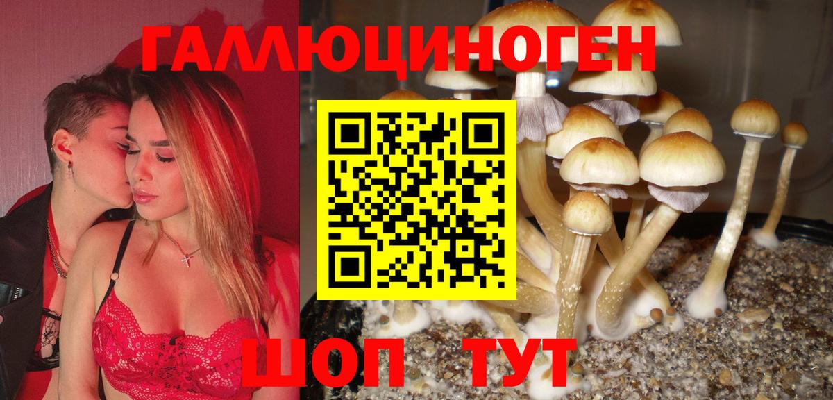 Москва  Галлюциногенные грибы мухоморы  Вход с VPN  Псилоцибиновые грибы прущие грибы 