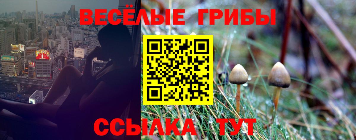 Псилоцибиновые грибы MAGIC MUSHROOMS Москва